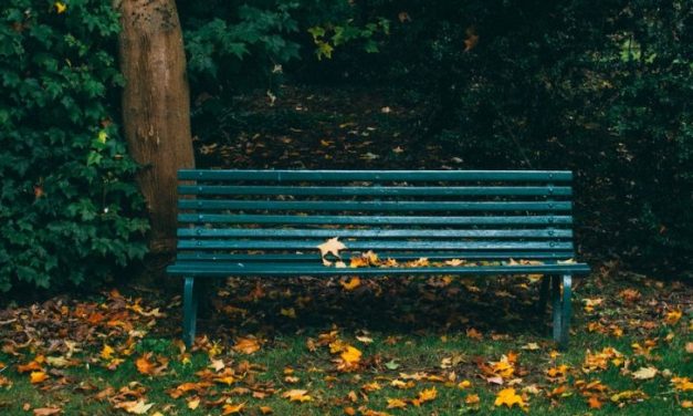 Á sama bekk í Kópavogi