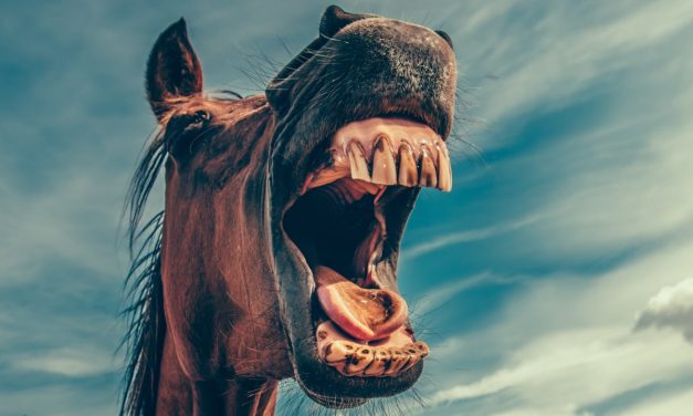 Námskeið í gamanleik á Selfossi