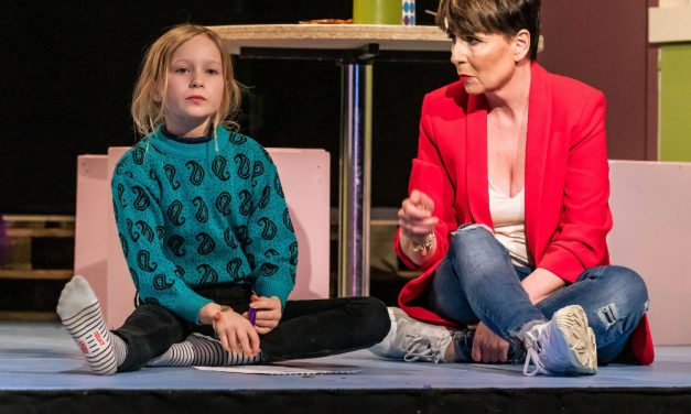 Í fylgd með fullorðnum